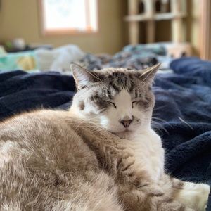 Meet your Posher, Becky